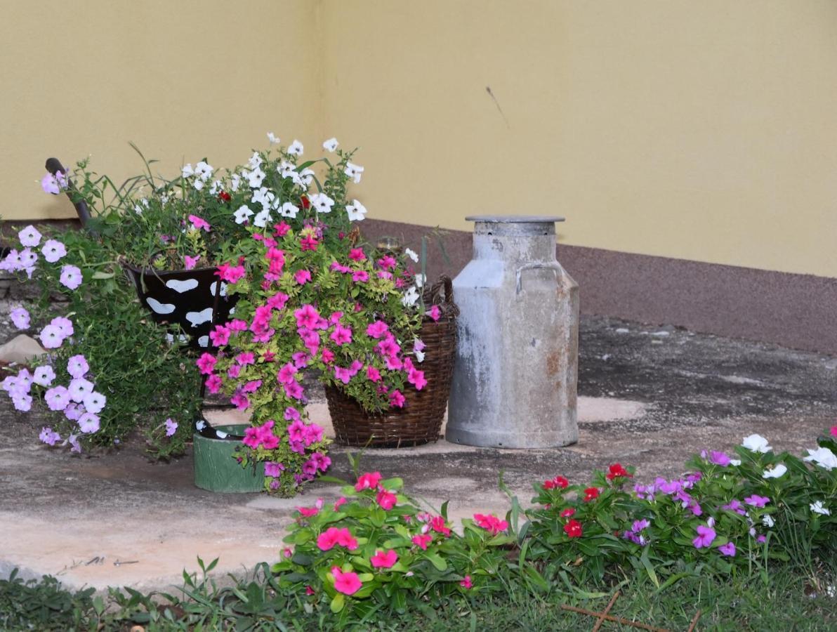Villa Kutija Sveti Filip i Jakov Dış mekan fotoğraf